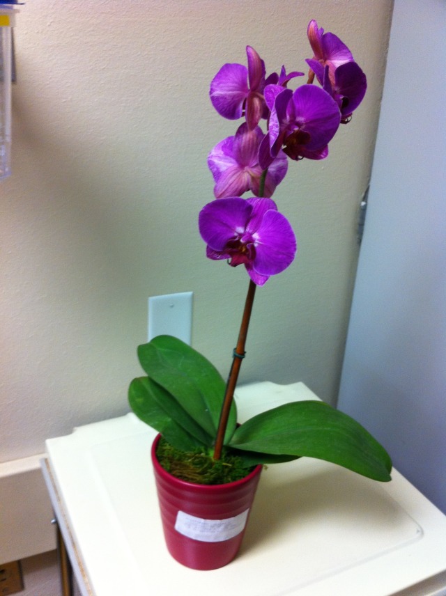 2011-05-20-Janeen's TBI-26.jpg